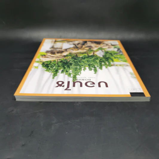 บอนไซ Bonsai - ภวพล ศุภนันทนานนท์ รูปที่ 6