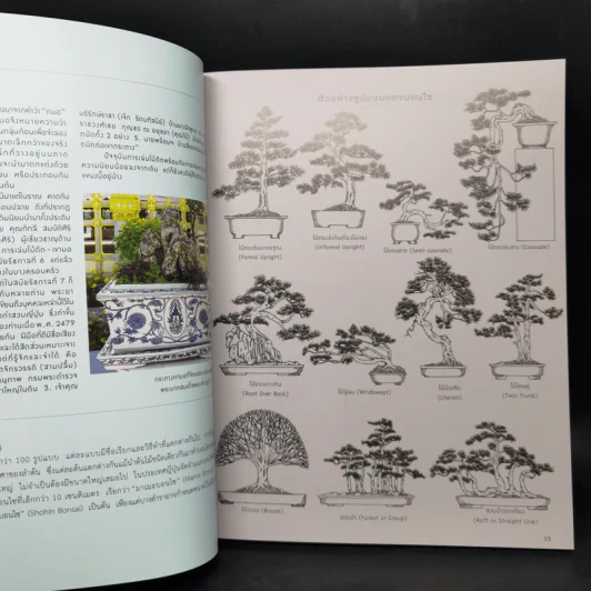 บอนไซ Bonsai - ภวพล ศุภนันทนานนท์ รูปที่ 11