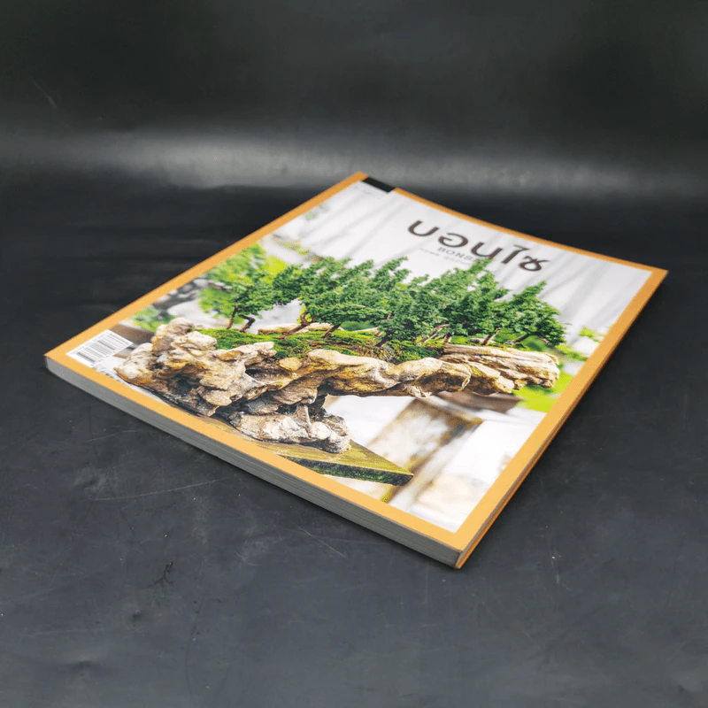บอนไซ Bonsai - ภวพล ศุภนันทนานนท์ รูปที่ 7