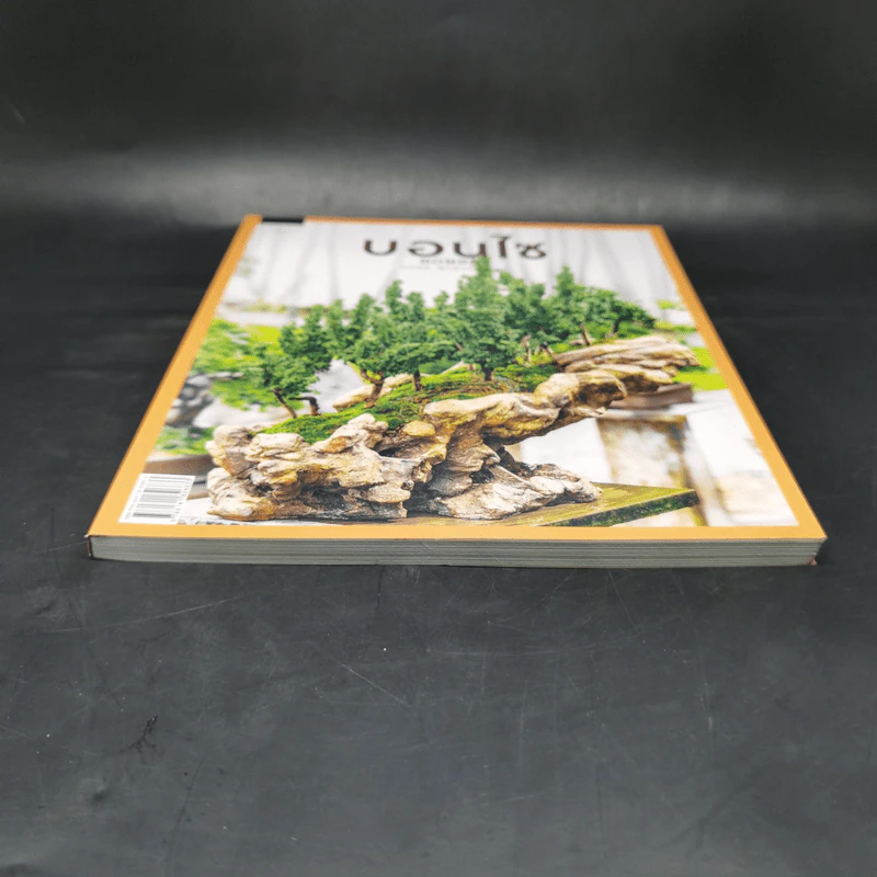 บอนไซ Bonsai - ภวพล ศุภนันทนานนท์ รูปที่ 4