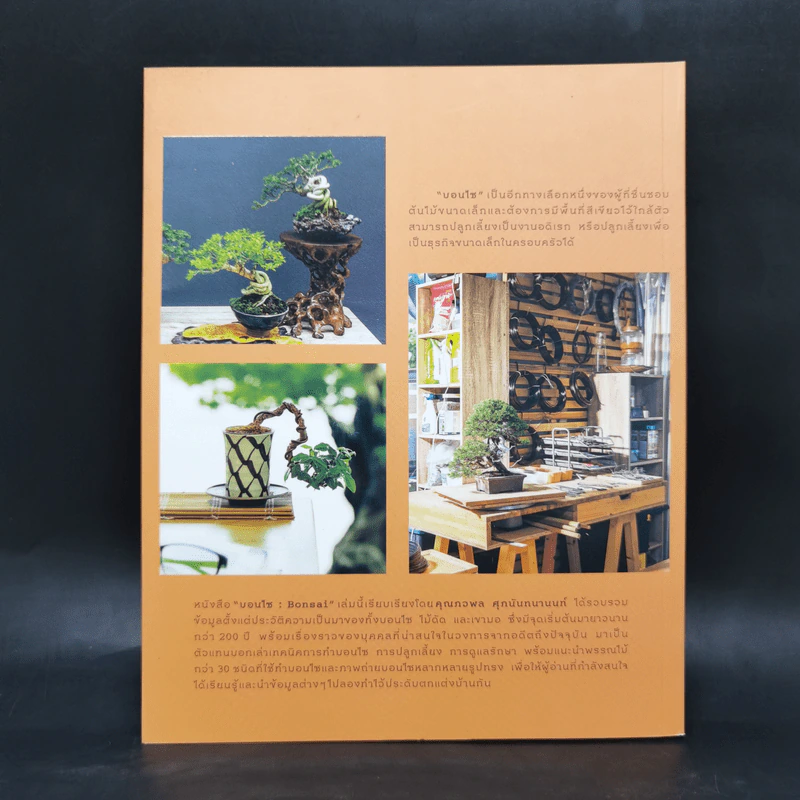 บอนไซ Bonsai - ภวพล ศุภนันทนานนท์ รูปที่ 2