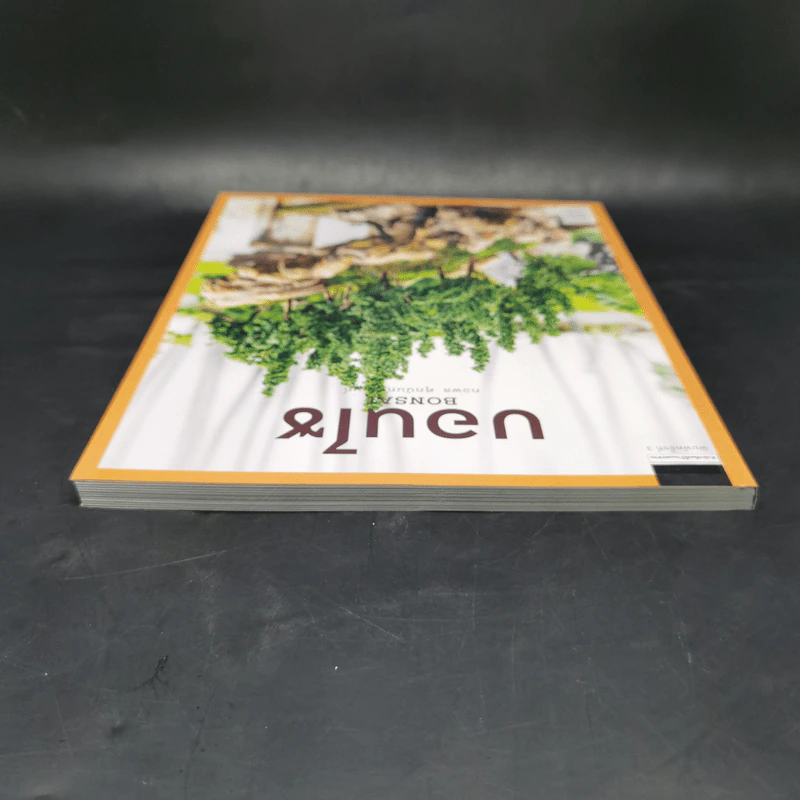 บอนไซ Bonsai - ภวพล ศุภนันทนานนท์ รูปที่ 6