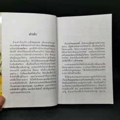 แก้วจอมแก่น - สมเด็จพระเทพฯ รูปที่ 8