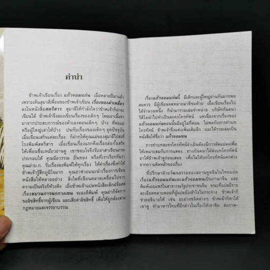 แก้วจอมแก่น - สมเด็จพระเทพฯ รูปที่ 8