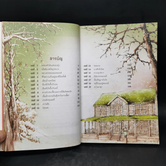 สี่ดรุณี - วรรณกรรมอมตะระดับโลก รูปที่ 9