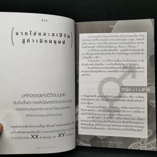 มหัศจรรย์แห่งชีวิต - ดร.ชัยวัฒน์ คุประตกุล รูปที่ 11