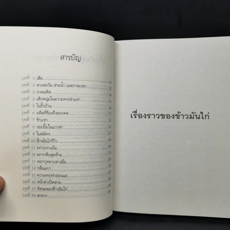 เรื่องราวของข้าวมันไก่ - วาสึเทพ เกตุเพ็ชร รูปที่ 7