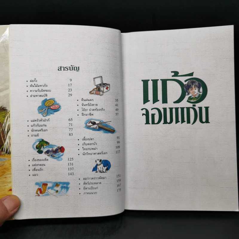 แก้วจอมแก่น - สมเด็จพระเทพฯ รูปที่ 9