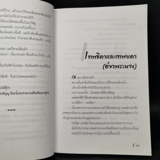 เรื่องเล่าจากคุณป่า ภาคใต้ - อานนท์ อาทิตย์อุทัย รูปที่ 11