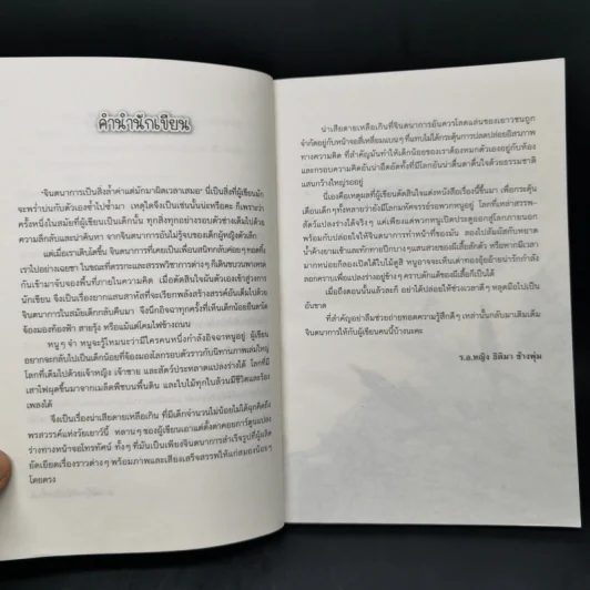 พวกเราแปลงร่างได้! - ธิติมา ช้างพุ่ม รูปที่ 9