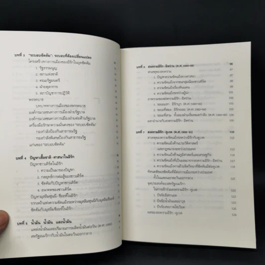 อิรัก วิกฤตถาวร? - ประทุมพร วัชรเสถียร, ไชยวัฒน์ ค้ำชู รูปที่ 10