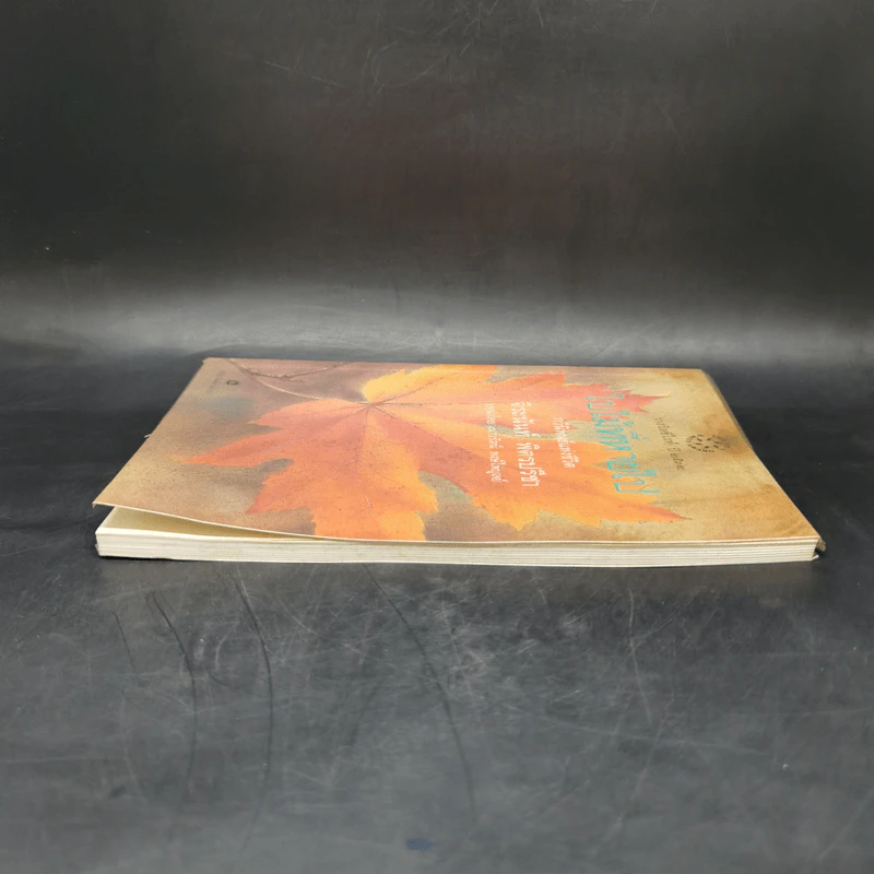 ใบไม้ที่หายไป - จิระนันท์ พิตรปรีชา รูปที่ 5
