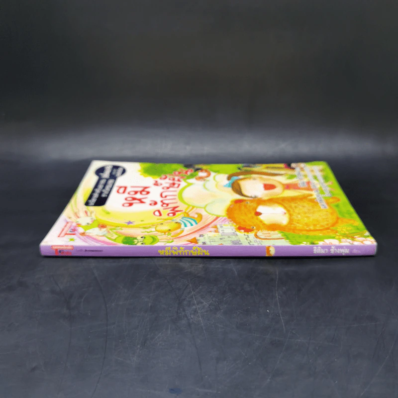 หมีพิทักษ์ฝัน - ธิติมา ช้างพุ่ม รูปที่ 3