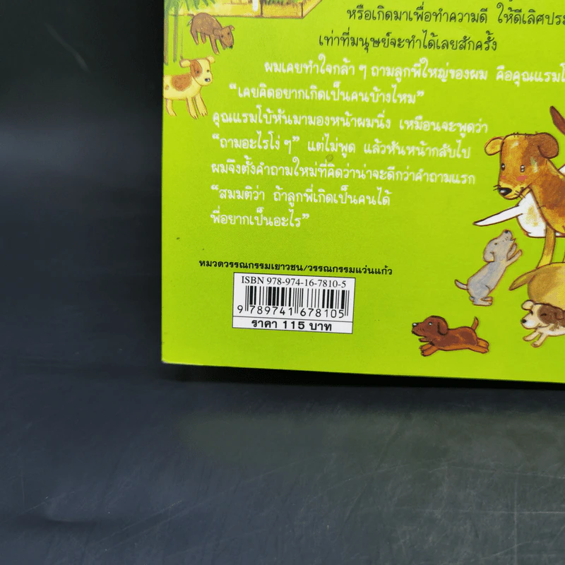 หมา (อยู่) วัด - โสมประภัสร์ ขันธ์สุวรรณ รูปที่ 12