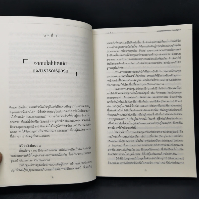อิรัก วิกฤตถาวร? - ประทุมพร วัชรเสถียร, ไชยวัฒน์ ค้ำชู รูปที่ 13
