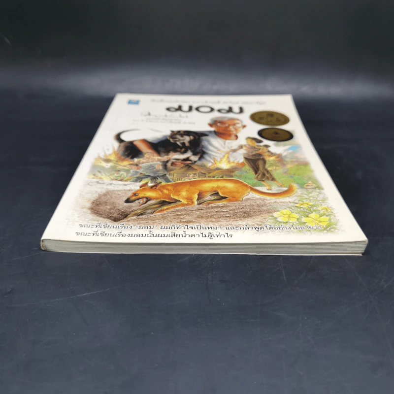 มอม เรื่องสั้นแสนรักของม.ร.ว.คึกฤทธิ์ ปราโมช ฉบับการ์ตูน รูปที่ 4
