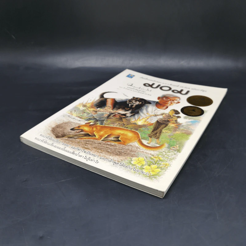 มอม เรื่องสั้นแสนรักของม.ร.ว.คึกฤทธิ์ ปราโมช ฉบับการ์ตูน รูปที่ 7