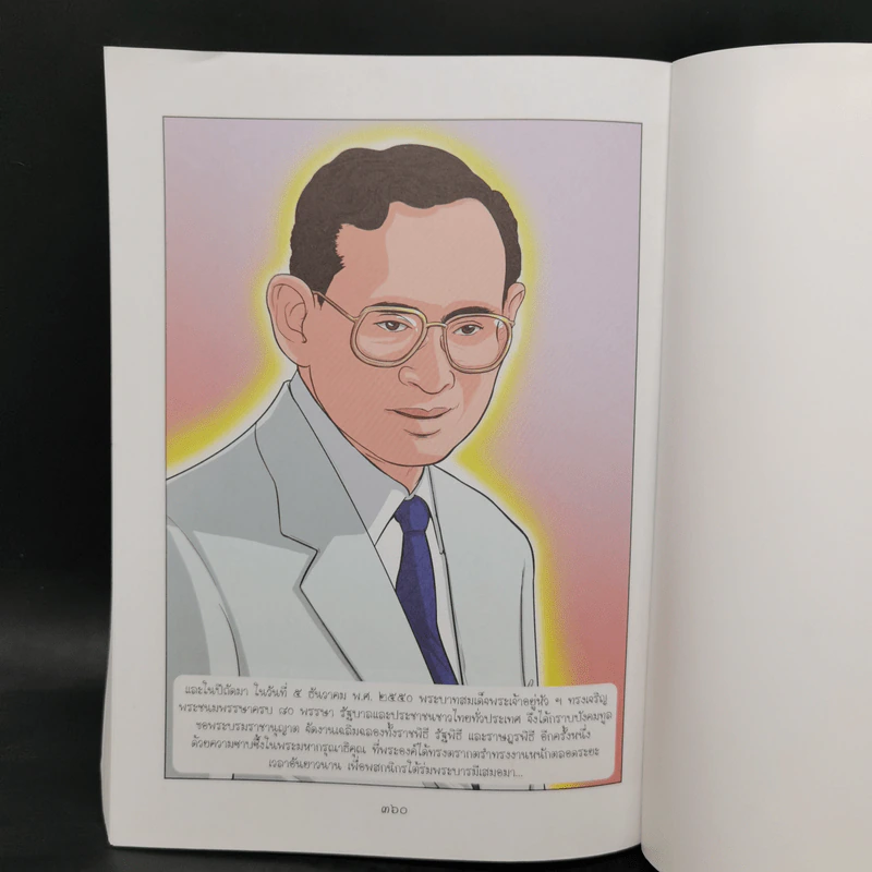 การ์ตูนชุด สดุดีมหาราชา เทิดไท้องค์ราชัน รัชกาลที่ 9 ฉบับเยาวชน รูปที่ 12