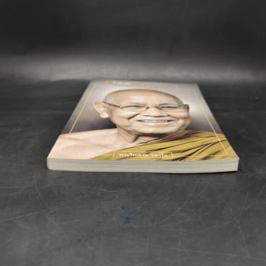 รำลึกถึงหลวงพ่อคำเขียน สุวณโณ - พระไพศาล วิศาโล รูปที่ 4