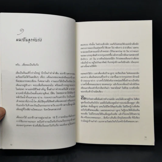 ไอ้เพ้ง จากลูกจับกัง สู่รัฐมนตรี - พงษ์ศักดิ์ รักตพงศ์ไพศาล รูปที่ 11