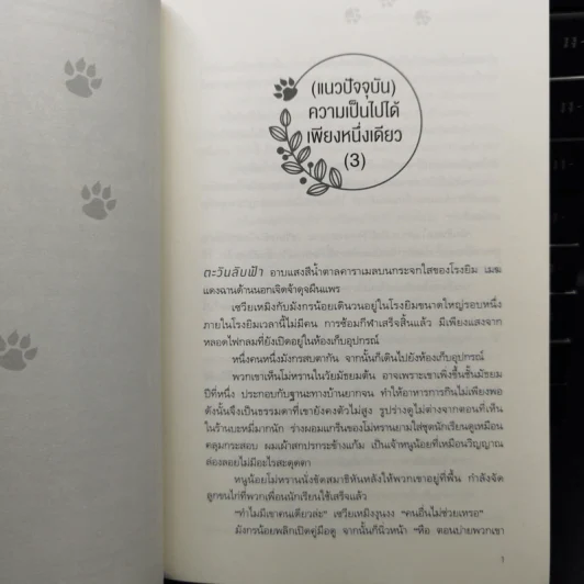 Boxset นิยายวาย ฮัสกี้หน้าโง่กับอาจารย์เหมียวขาวของเขา 10 เล่มจบ - โร่วเปาปู้ชือโร่ว (rou bao bu chi rou) รูปที่ 17