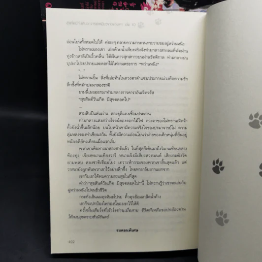 Boxset นิยายวาย ฮัสกี้หน้าโง่กับอาจารย์เหมียวขาวของเขา 10 เล่มจบ - โร่วเปาปู้ชือโร่ว (rou bao bu chi rou) รูปที่ 18