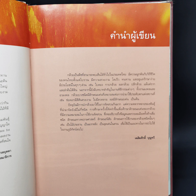 กล้วยจัดสวน - เฉลิมศักดิ์ บุญทวี รูปที่ 9