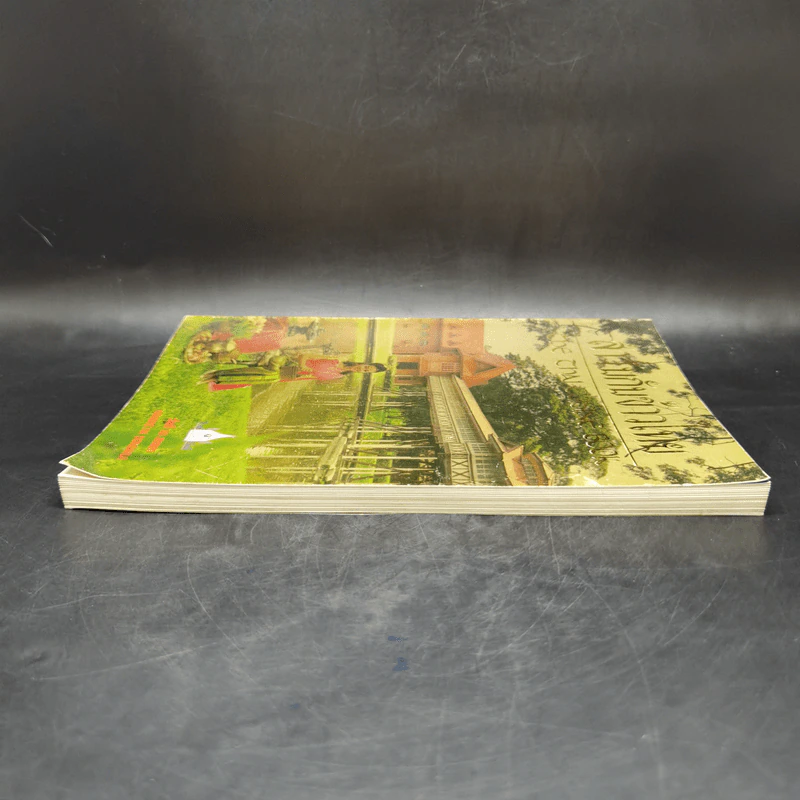 สำรับกับข้าวไทย The Thai Cuisine Book - วันดี ณ สงขลา รูปที่ 5