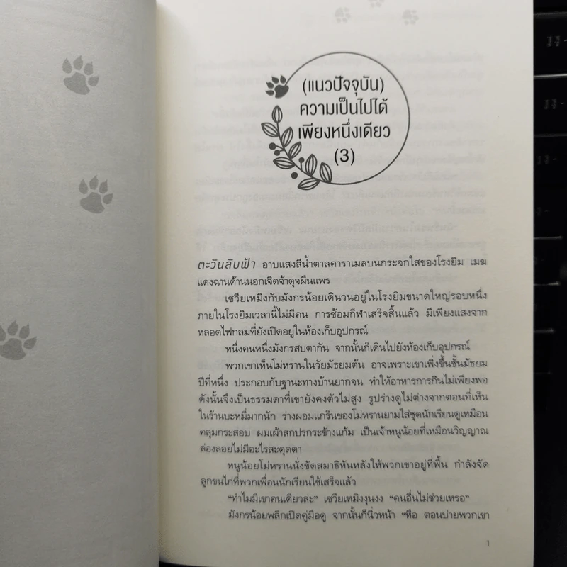 Boxset นิยายวาย ฮัสกี้หน้าโง่กับอาจารย์เหมียวขาวของเขา 10 เล่มจบ - โร่วเปาปู้ชือโร่ว (rou bao bu chi rou) รูปที่ 17