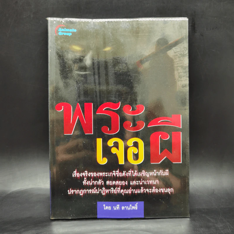 พระเจอผี - นที ลานโพธิ์ รูปที่ 1