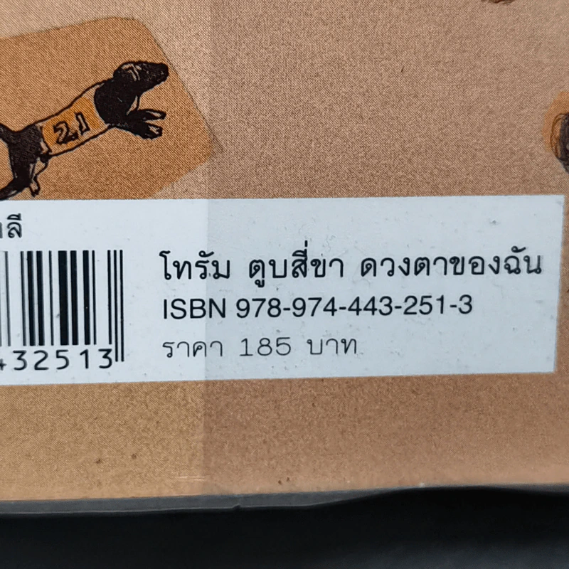 โทรัม ตูบสี่ขา ดวงตาของฉัน - ชา ซุก ยอน รูปที่ 12