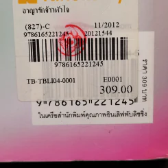 อาญารักจ้าวหัวใจ - มณีจันท์ รูปที่ 11