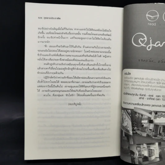 กุหลาบประกาศิต - ฉัตรฉาย รูปที่ 11