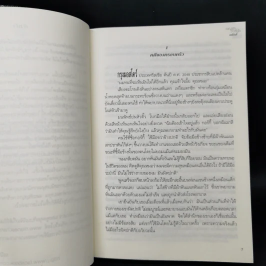 อาญารักจ้าวหัวใจ - มณีจันท์ รูปที่ 9