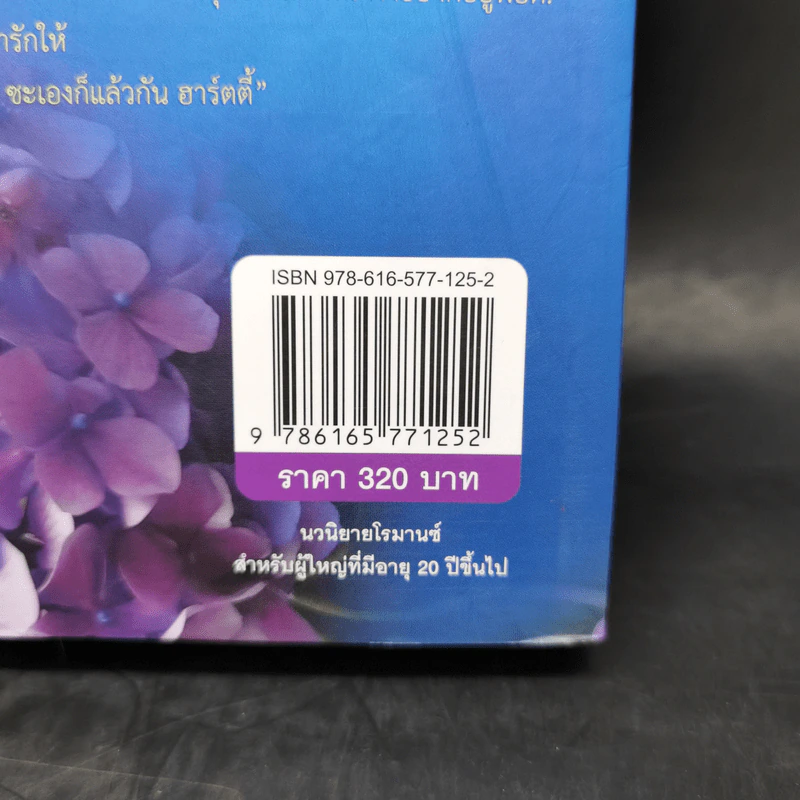 ดาวเหนือหัวใจ - มณีจันท์ รูปที่ 12