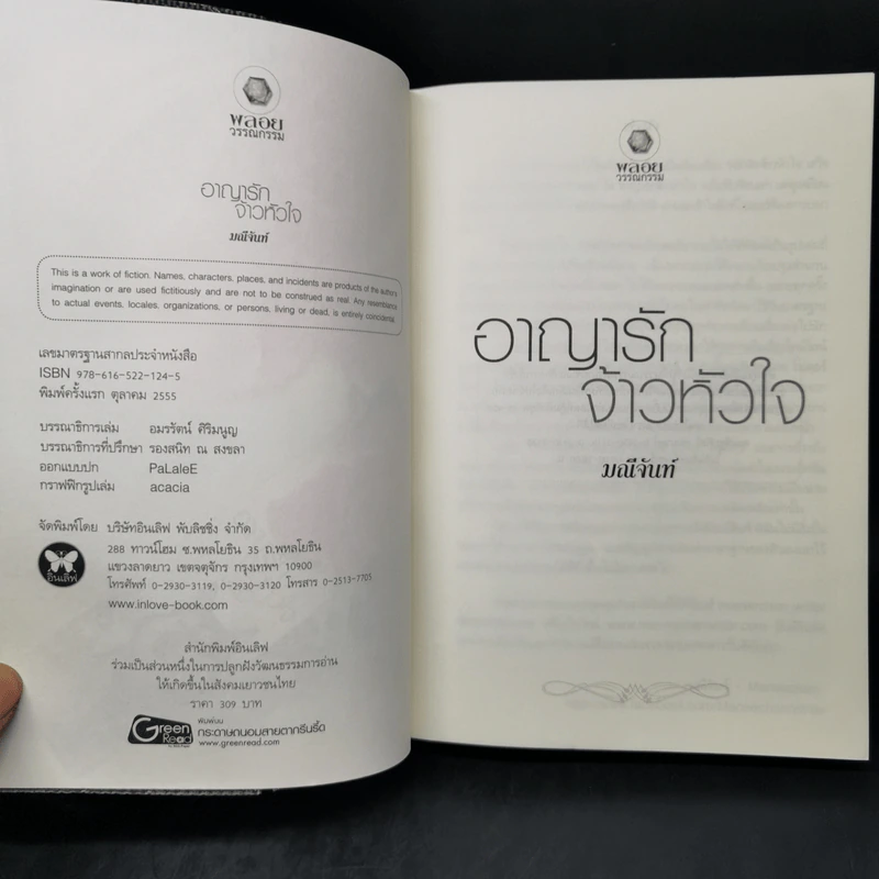 อาญารักจ้าวหัวใจ - มณีจันท์ รูปที่ 8