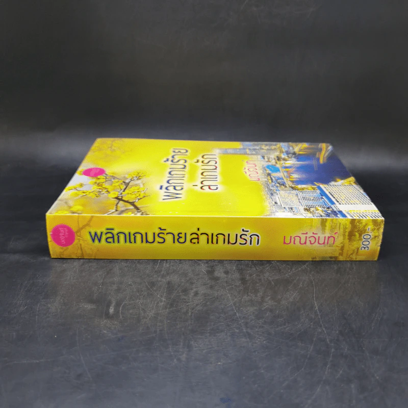พลิกเกมร้ายล่าเกมรัก - มณีจันท์ รูปที่ 3