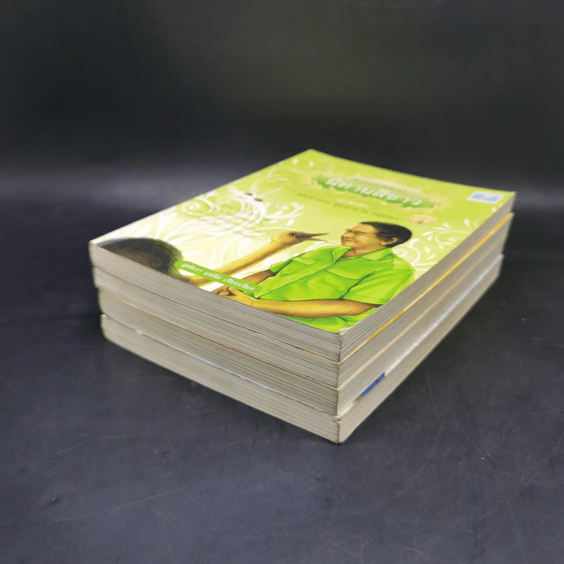 ด้วยรักบันดาล นิทานสีขาว เล่ม 1-4 - ดร.อาจอง ชุมสาย ณ อยุธยา รูปที่ 6