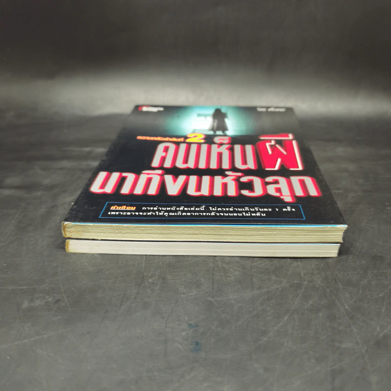 คนเห็นผี นาทีขนหัวลุก เล่ม 1-2 - ศรีเพชร รูปที่ 4