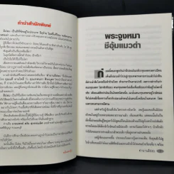 ตำนานผีปอบ - นาที ลานโพธิ์, เทพนภา ศิวะบุตร รูปที่ 9