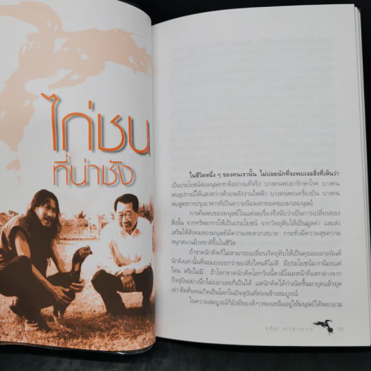 ไก่ชนที่น่าชัง - แอ๊ด คาราบาว รูปที่ 10