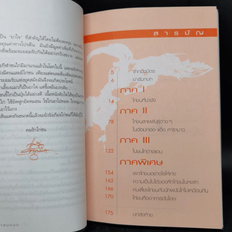 ไก่ชนที่น่าชัง - แอ๊ด คาราบาว รูปที่ 9