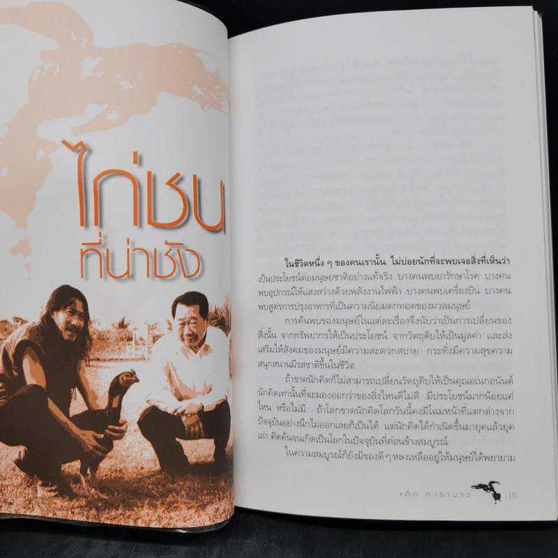 ไก่ชนที่น่าชัง - แอ๊ด คาราบาว รูปที่ 10