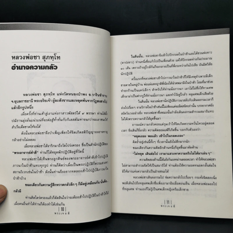 พระเจอผี - นที ลานโพธิ์ รูปที่ 10