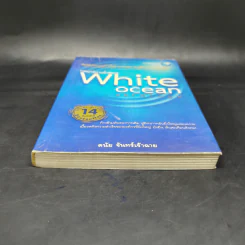White Ocean Strategy กลยุทธ์น่านน้ำสีขาว - ดนัย จันทร์เจ้าฉาย รูปที่ 4