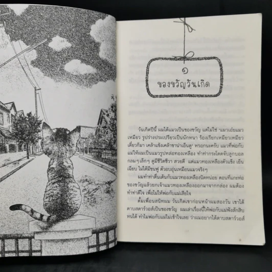 ม็อกซ์ แมวมหัศจรรย์ (สองภาษา ไทย-อังกฤษ) รูปที่ 11