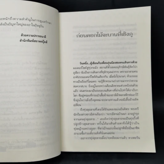 ดอกไม้บานที่เชิงภู - โชติ ศรีสุวรรณ รูปที่ 9