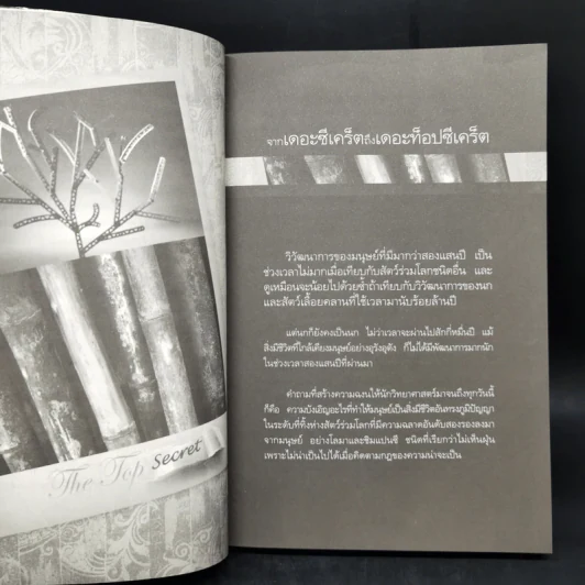 The Top Secret เดอะท็อปซีเคร็ต - ทันตแพทย์สม สุจีรา รูปที่ 12
