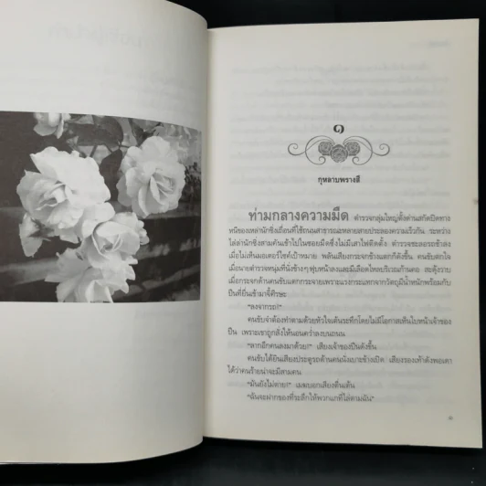 กุหลาบพรางสี - ช่อมณี รูปที่ 9