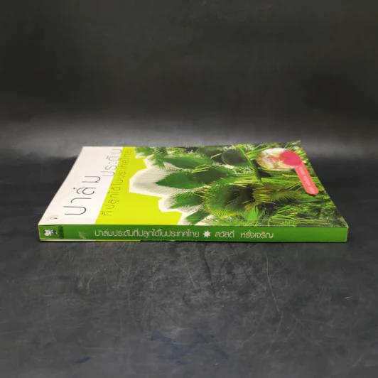 ปาล์มประดับที่ปลูกได้ในประเทศไทย - สวัสดิ์ หรั่งเจริญ รูปที่ 3